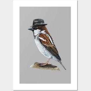 Italian sparrow Posters and Art